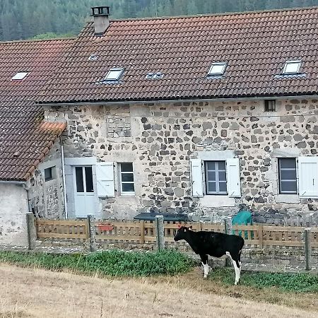 Gite A La Ferme Le Malzieu-Ville Экстерьер фото