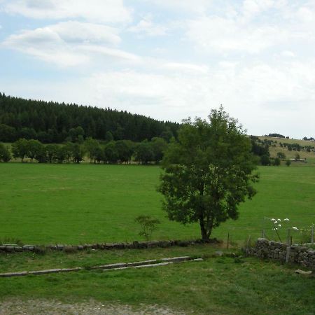 Gite A La Ferme Le Malzieu-Ville Экстерьер фото