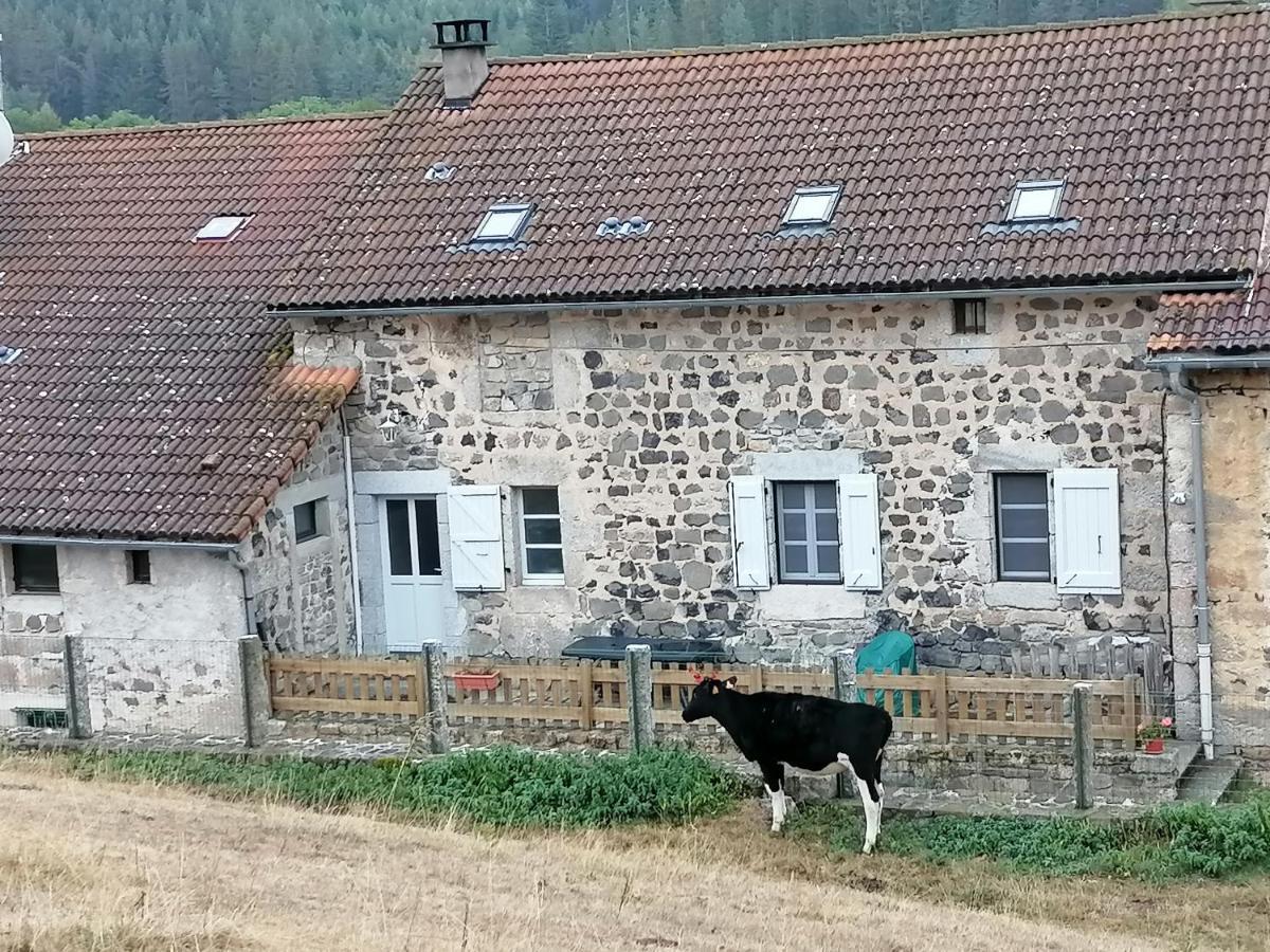 Gite A La Ferme Le Malzieu-Ville Экстерьер фото