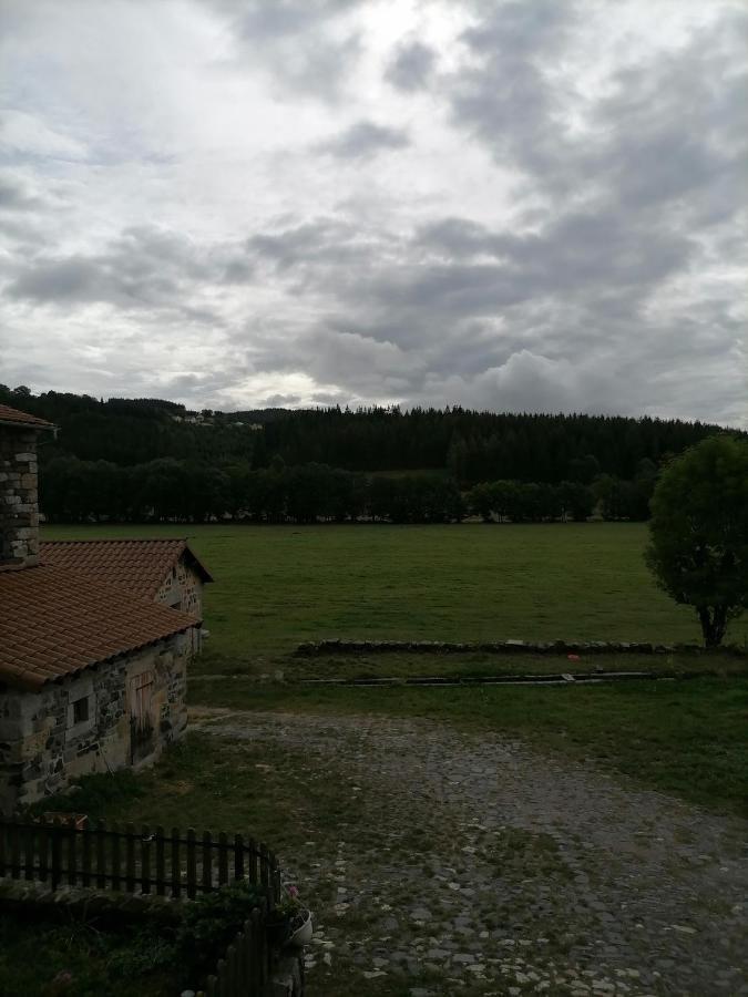 Gite A La Ferme Le Malzieu-Ville Экстерьер фото