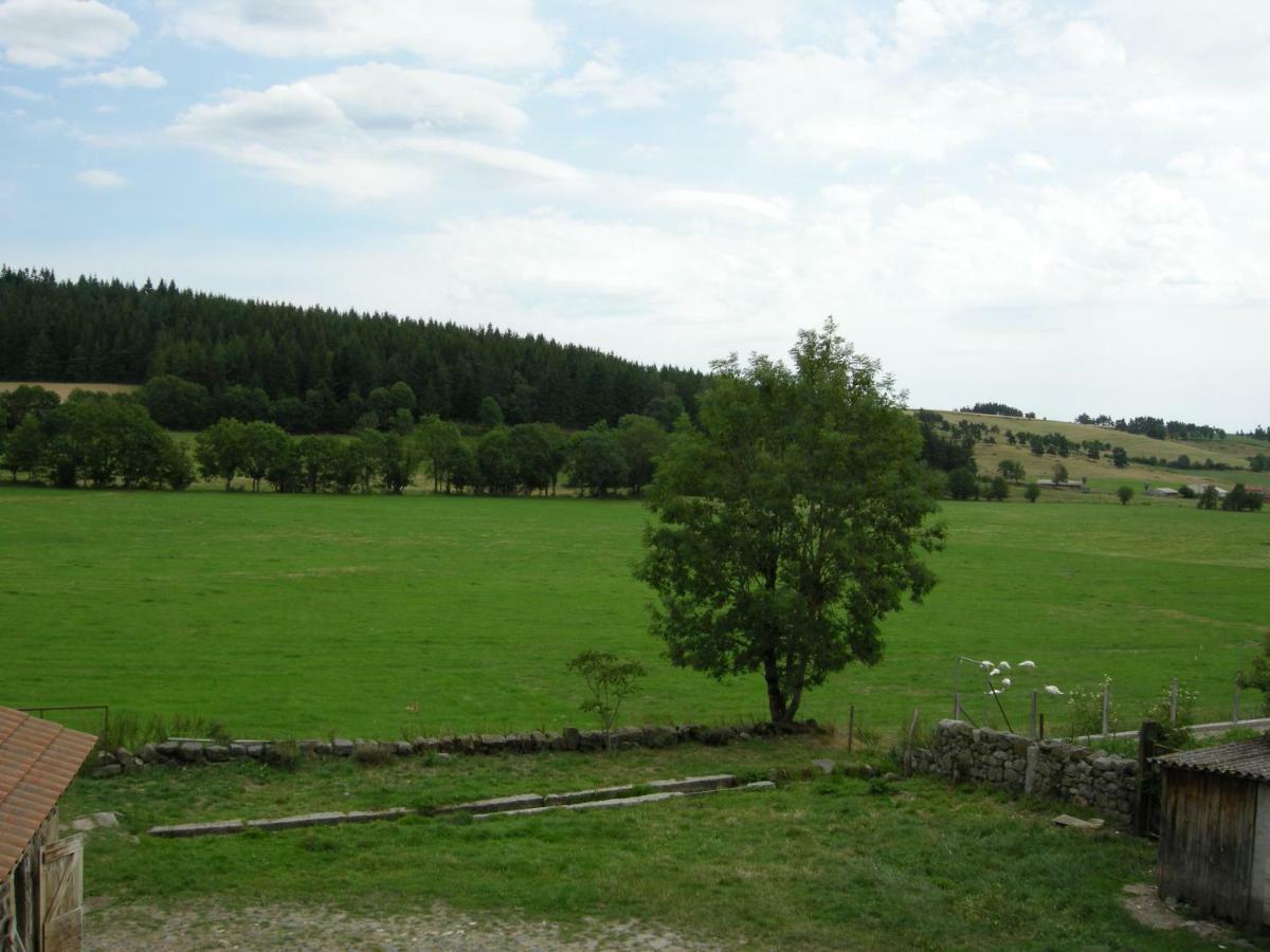 Gite A La Ferme Le Malzieu-Ville Экстерьер фото